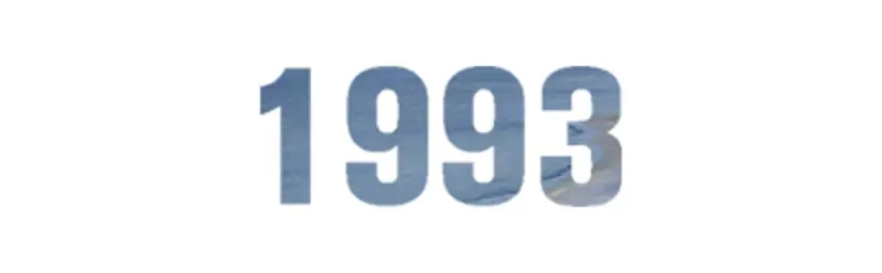 1993