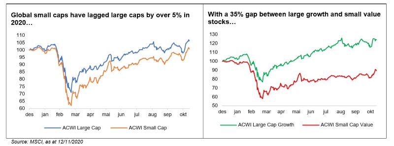 Small caps MSCI 12 Nov 2020.jpg