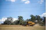 picture of a tractor in a soybean field